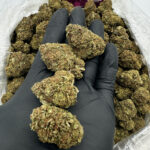 Grape Octane Strain District Connect dmv weed delivery