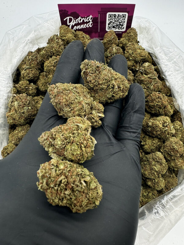 Grape Octane Strain District Connect dmv weed delivery