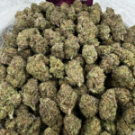 Jungle Cake Strain District Connect virginia weed delivery