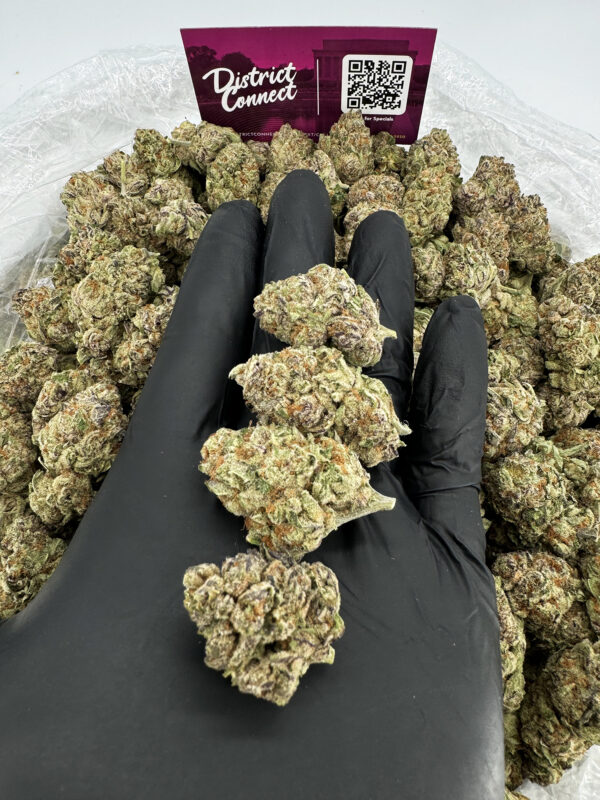 Jungle Cake Strain District Connect washington dc weed delivery