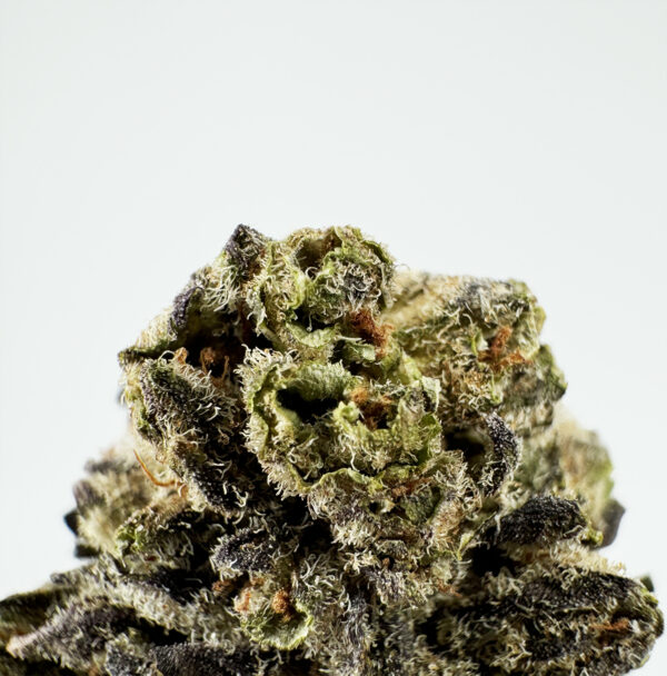 Jungle Cake Strain District Connect virginia weed delivery
