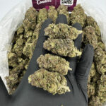 Grape Gas Strain District Connect washington dc weed delivery