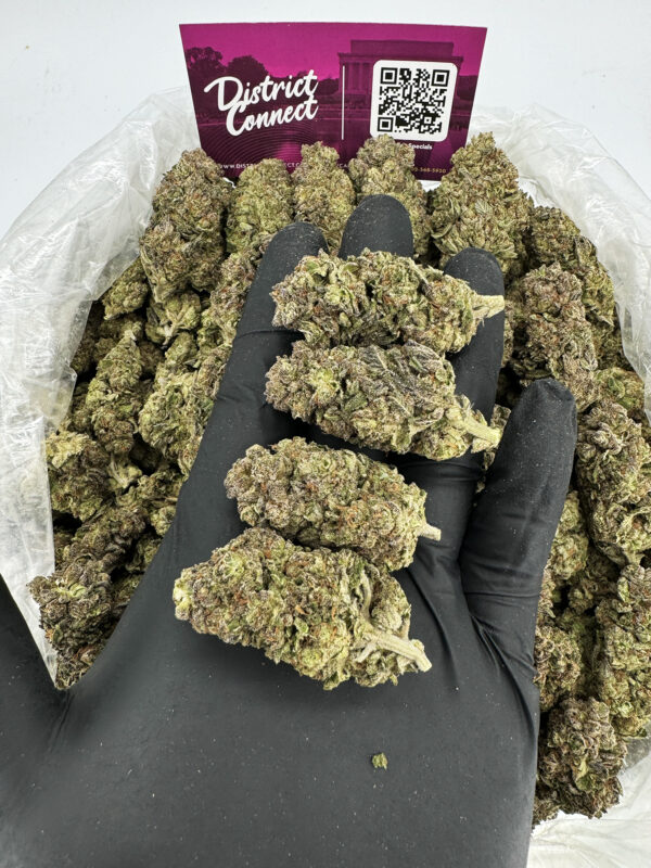 Grape Gas Strain District Connect washington dc weed delivery