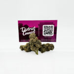 Garlic Cake Strain District Connect washington dc weed delivery