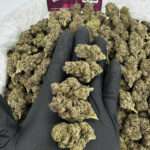 Garlic Cake Strain District Connect dmv wee delivery
