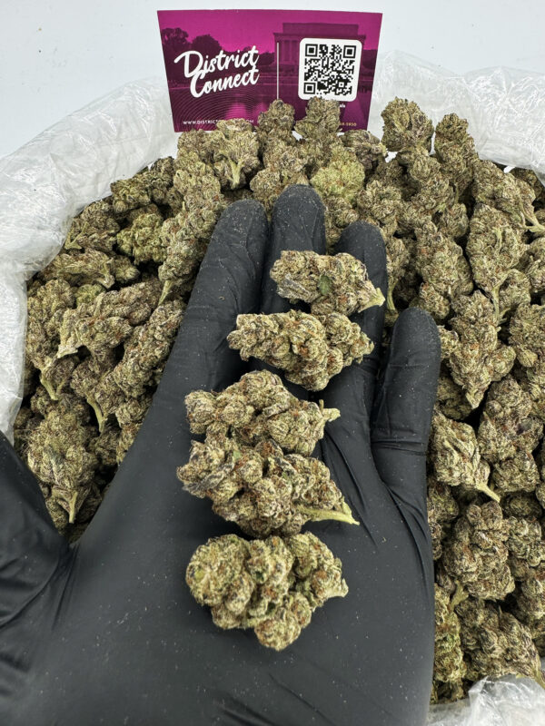 Garlic Cake Strain District Connect dmv wee delivery