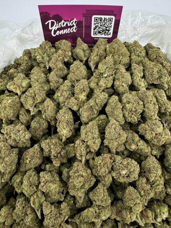 Lemon Drop Strain District Connect virginia weed delivery
