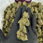 Lemon Drop Strain District Connect dmv weed delivery