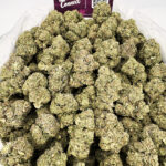 Truffleatti Strain District Connect Richmond weed delivery