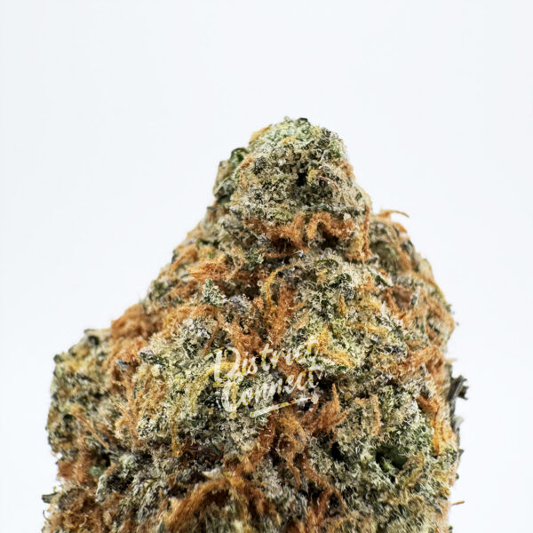 Crystal Coma Strain District Connect virginia weed delivery