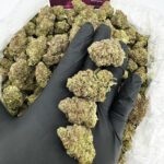 frozen roze strain District Connect, Richmond Weed Delivery