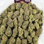 frozen roze strain District Connect, Maryland Weed Delivery