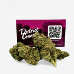 Gush Mintz Strain District Connect washington dc weed delivery