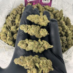 Maui Crush Strain District Connect dmv weed delivery