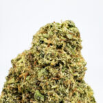 Monster Cookies Strain District Connect dmv weed delivery