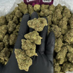 Monster Cookies Strain District Connect dmv weed delivery