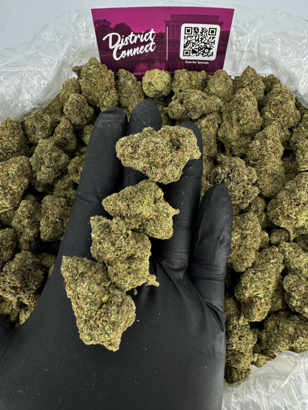 Monster Cookies Strain District Connect dmv weed delivery