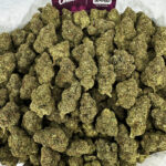 Monster Cookies Strain District Connect washington dc weed delivery