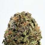 Tangerine Dream Strain District Connect virginia weed delivery