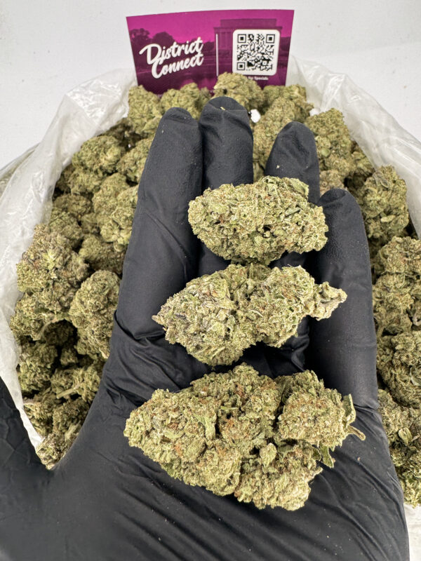 Truffleatti Strain District Connect Maryland weed delivery