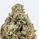 Truffleatti Strain District Connect DMV weed delivery