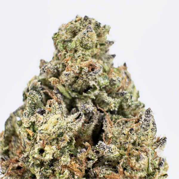 Truffleatti Strain District Connect DMV weed delivery