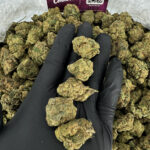 Wedding Pie Strain District Connect maryland weed delivery
