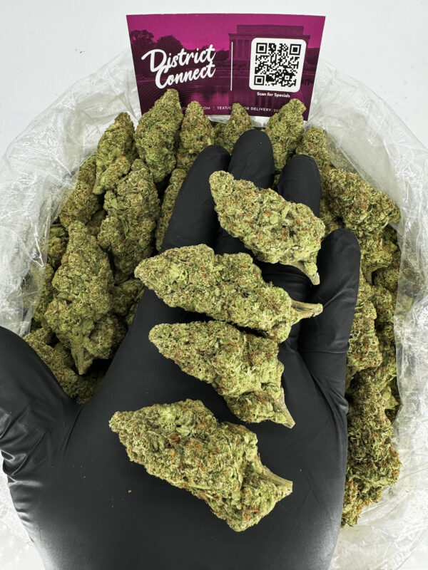 Head Cheese Strain District Connect rva weed delivery