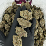 Purple Coma Strain District Connect rva weed delivery