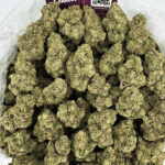 Blueberry Haze Strain District Connect Richmond weed delivery