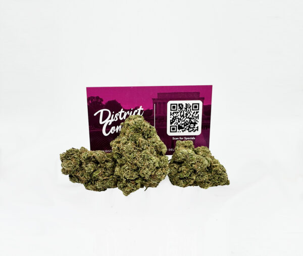 Blueberry Haze Strain District Connect washington dc weed delivery