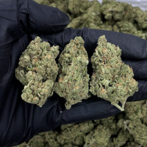 Blueberry Haze strain, Sativa hybrid, 22–25% THC, available for weed delivery in Washington DC, Virginia, Maryland, and Richmond VA