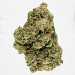 Blueberry Haze Strain District Connect Virginia weed delivery