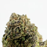 Double Cherry Strain Exotic Blooms dmv weed delivery