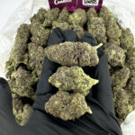 Purple Diesel Strain District Connect Maryland weed delivery
