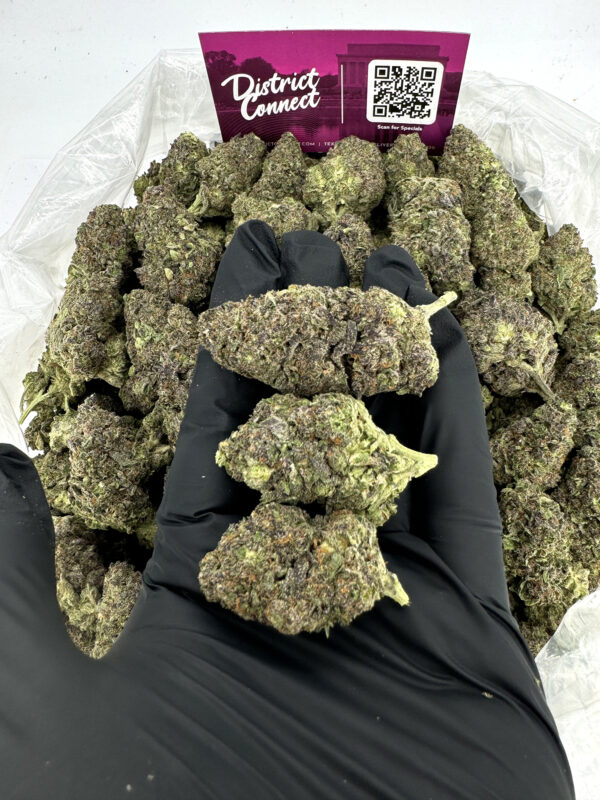Purple Diesel Strain District Connect Maryland weed delivery