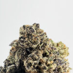Pink Panties Strain District Connect virginia weed delivery
