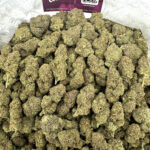 Cookies n chem Strain District Connect richmond weed delivery