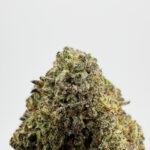 Cookies n chem Strain District Connect Virginia weed delivery
