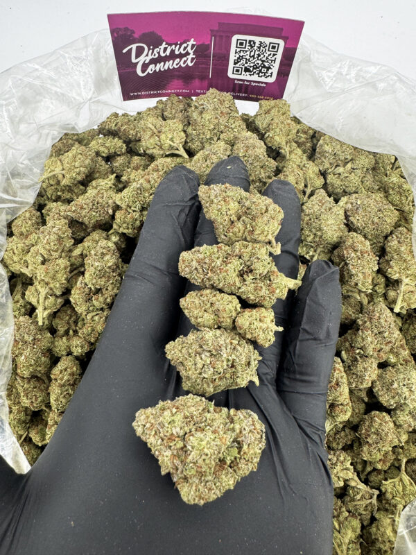 Cookies n chem Strain District Connect Dmv weed delivery