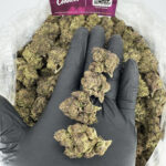Bubblegum Strain District Connect rva weed delivery