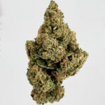 Dream Cookie Strain District Connect Virginia weed delivery