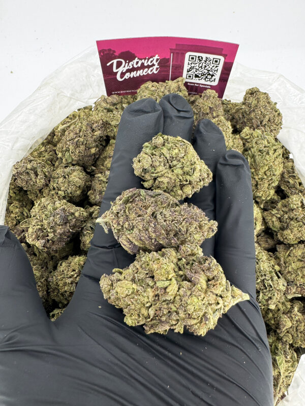 Grease Monkey Strain District Connect Maryland weed delivery