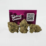 Mandarin Glue Strain District Connect richmond weed delivery