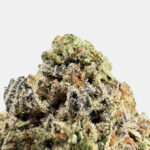 Mandarin Glue Strain District Connect DMV weed delivery