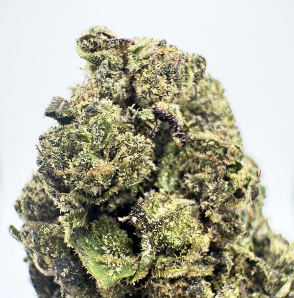 Grease Monkey Strain District Connect DMV weed delivery