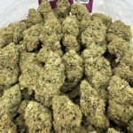 Permanent Marker Strain District Connect Richmond weed delivery