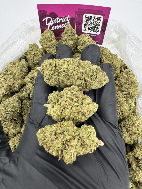 Permanent Marker Strain District Connect Maryland weed delivery