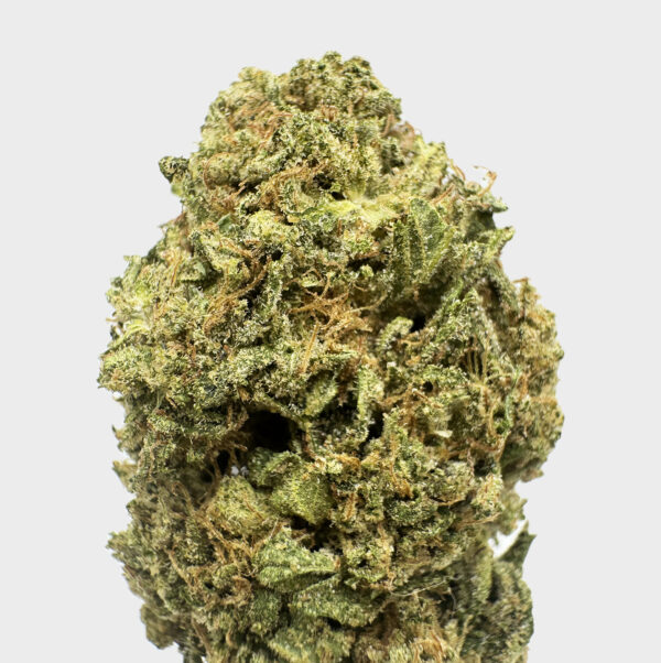 Permanent Marker Strain District Connect Virginia weed delivery
