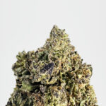 Purple Sundae Strain District Connect DMV weed delivery